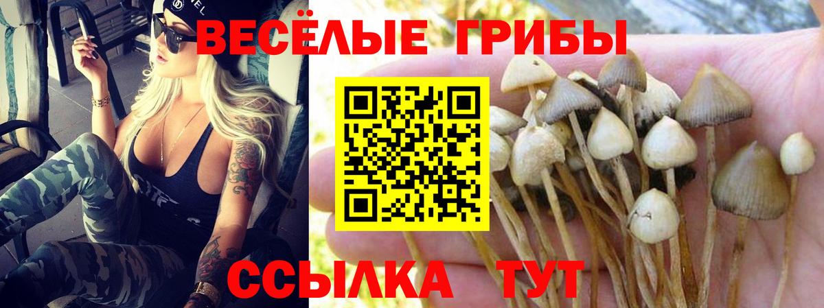 Галлюциногенные грибы прущие грибы  Вход с VPN  продажа наркотиков  Псилоцибиновые грибы мицелий  Белая Калитва 
